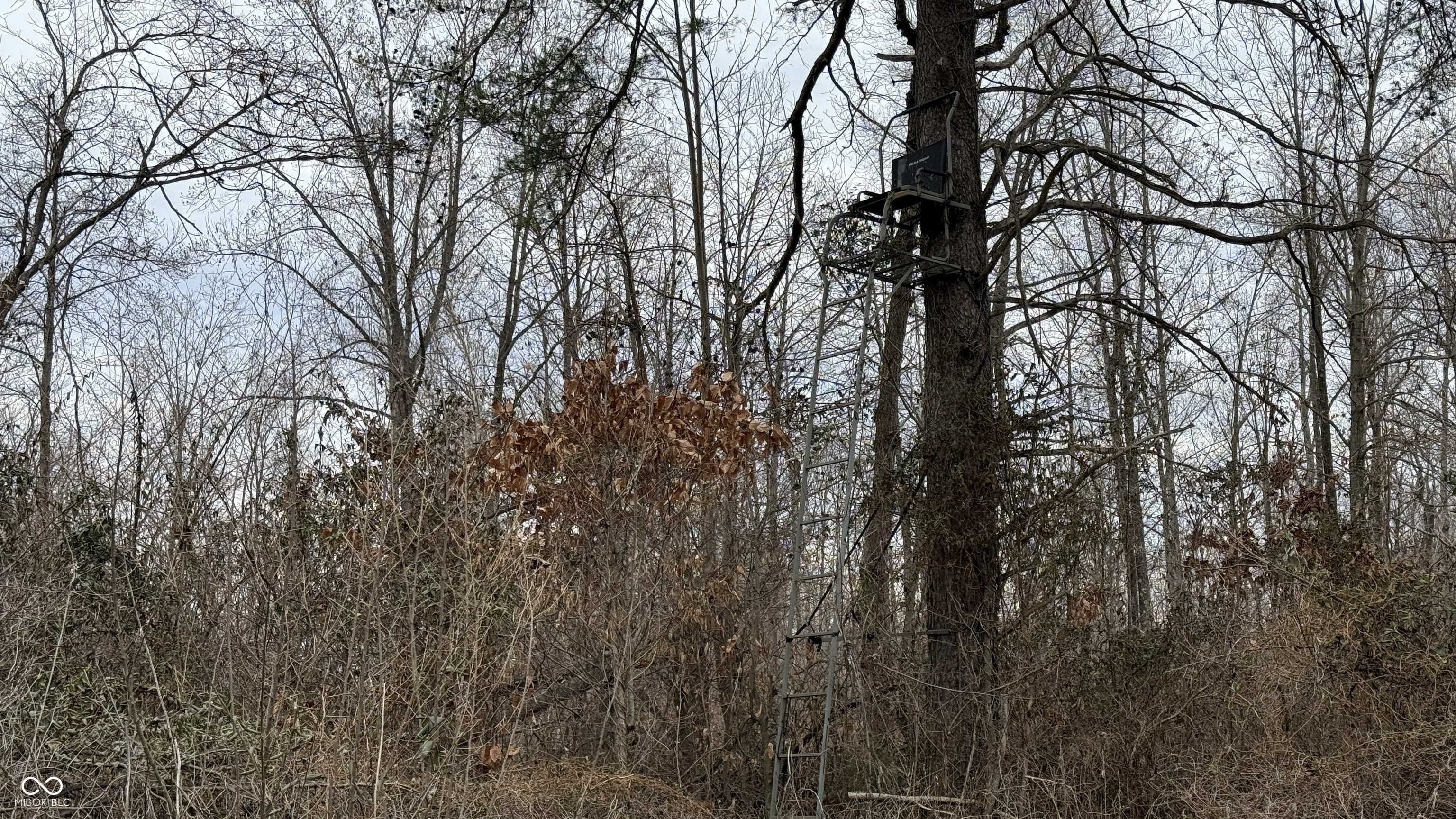 0 Steubenville Road Coal City, IN 47427 - Photo 24 of 75