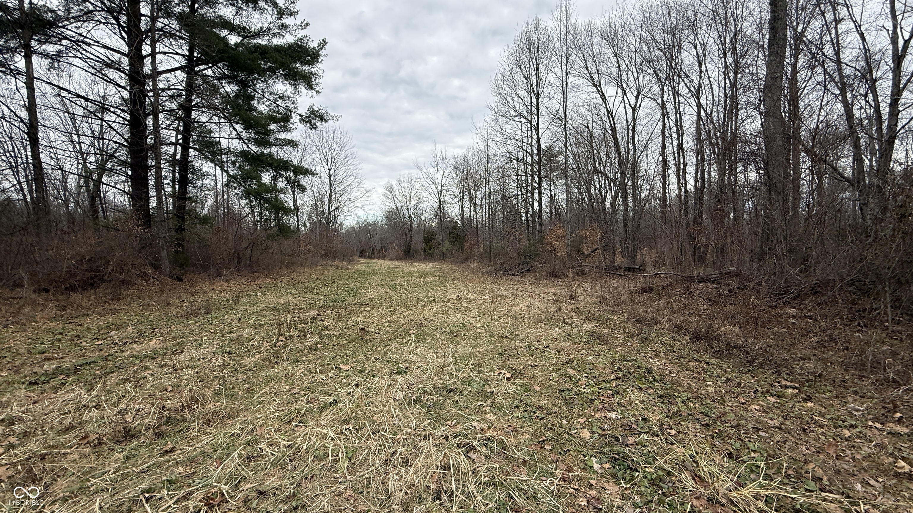 0 Steubenville Road Coal City, IN 47427 - Photo 27 of 75