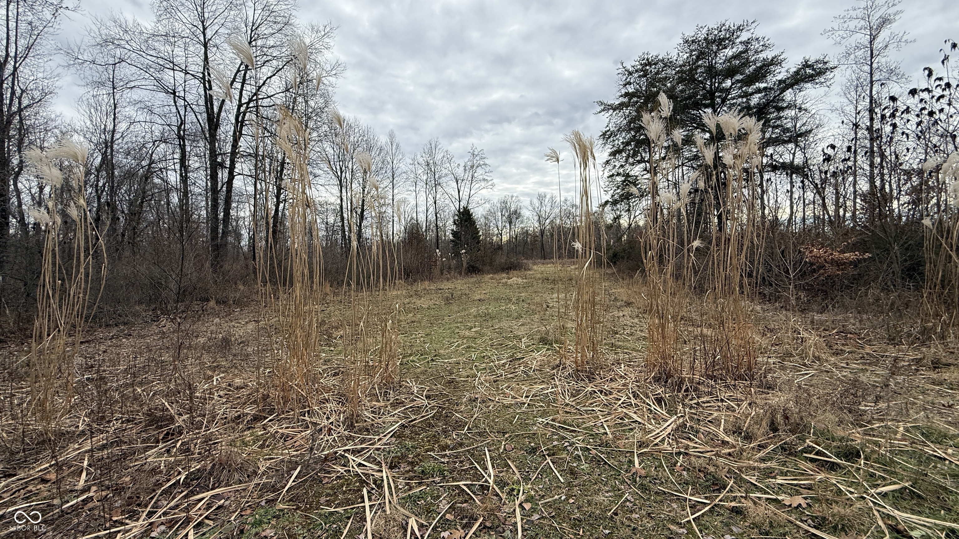 0 Steubenville Road Coal City, IN 47427 - Photo 29 of 75