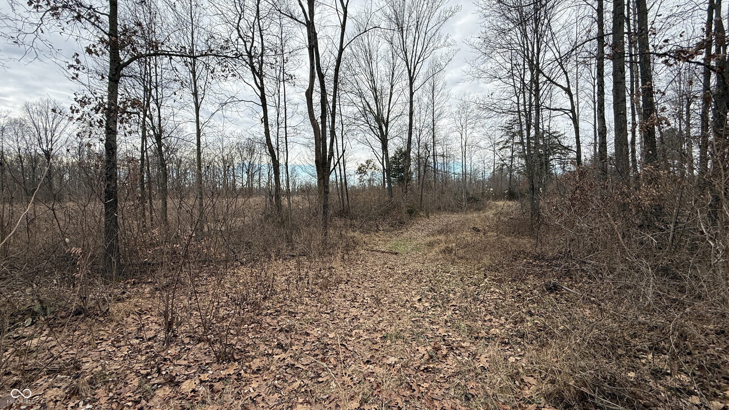 0 Steubenville Road Coal City, IN 47427 - Photo 31 of 75