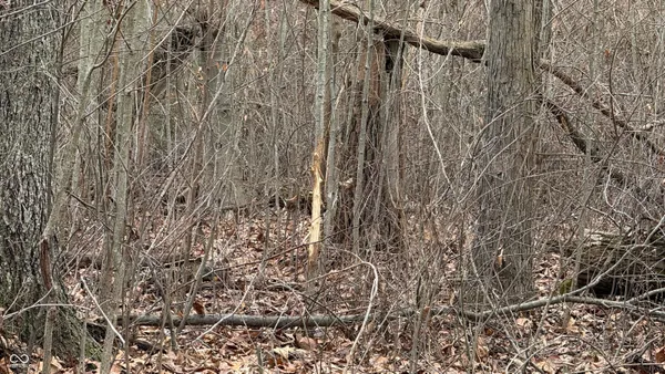 $720,032 | 0 Steubenville Road, Coal City, IN 47427