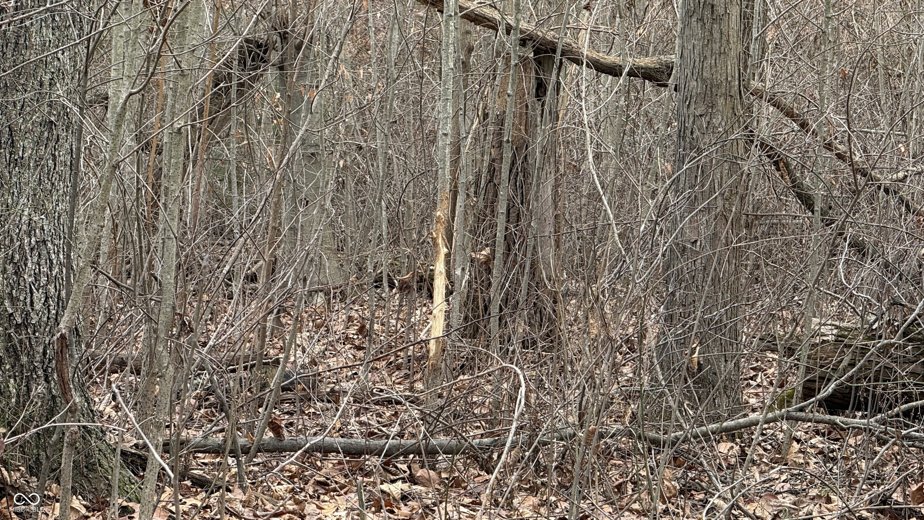 0 Steubenville Road Coal City, IN 47427 - Photo 33 of 75