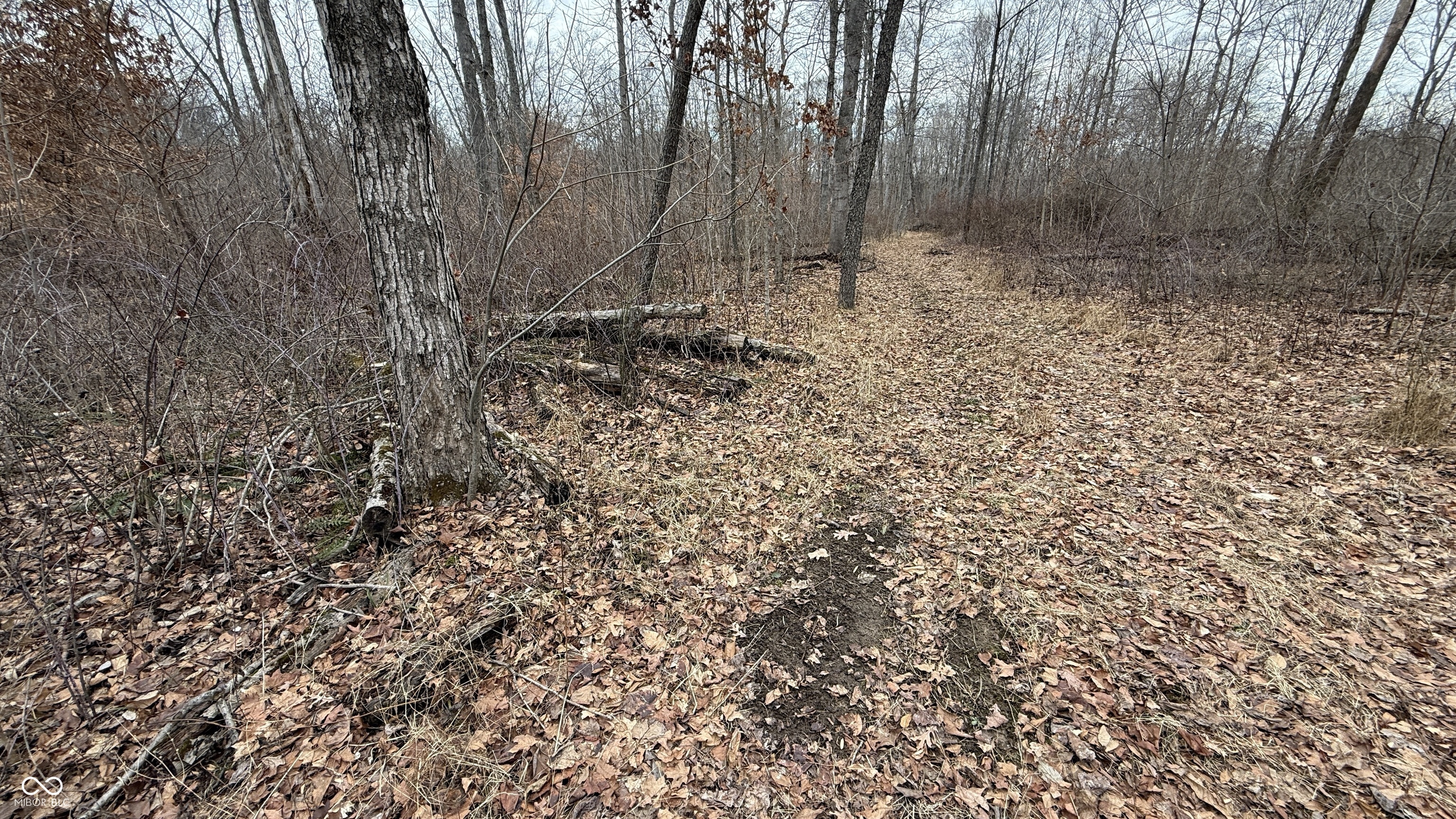 0 Steubenville Road Coal City, IN 47427 - Photo 34 of 75