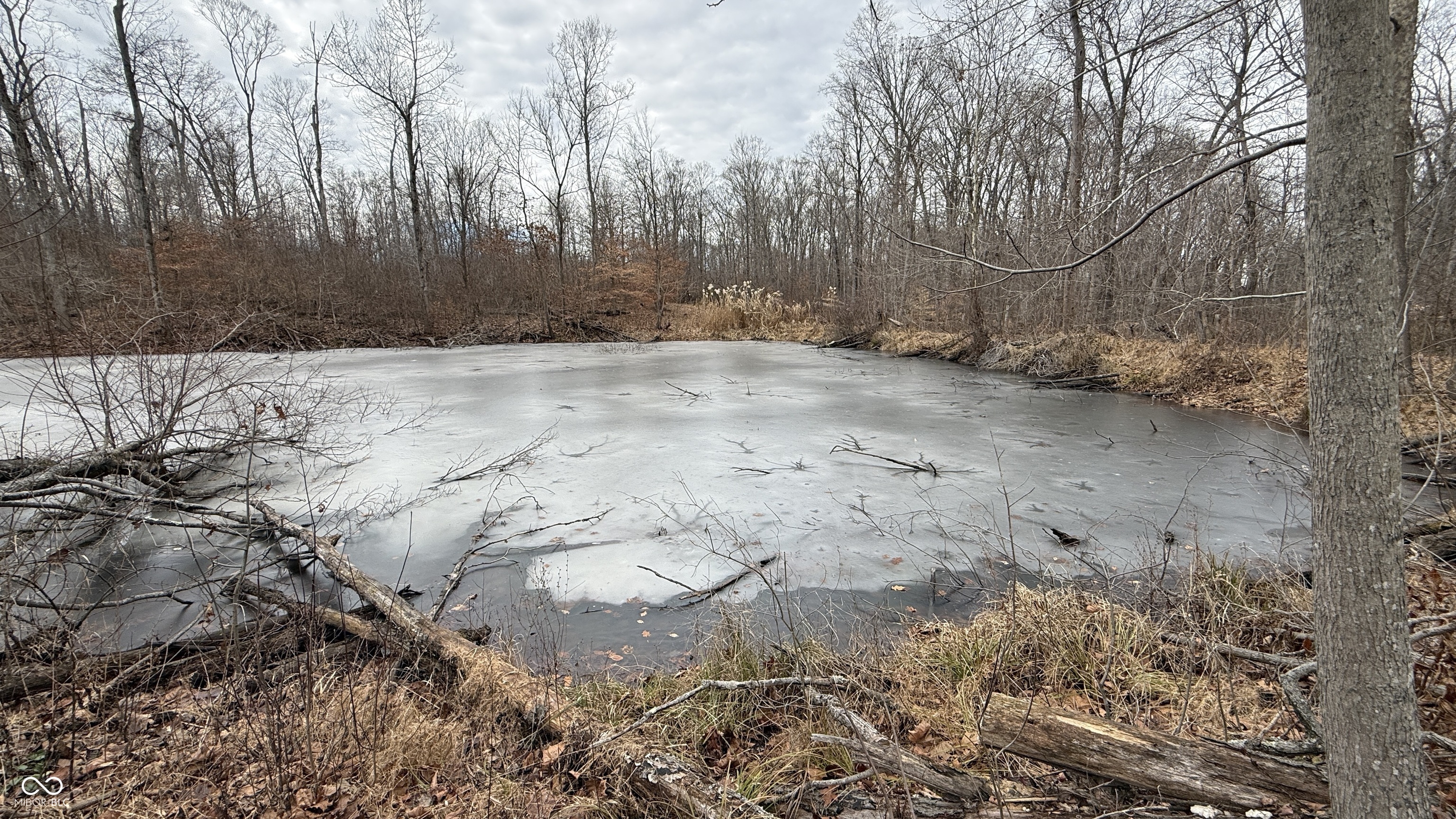 0 Steubenville Road Coal City, IN 47427 - Photo 37 of 75