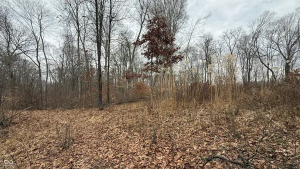 $720,032 | 0 Steubenville Road, Coal City, IN 47427