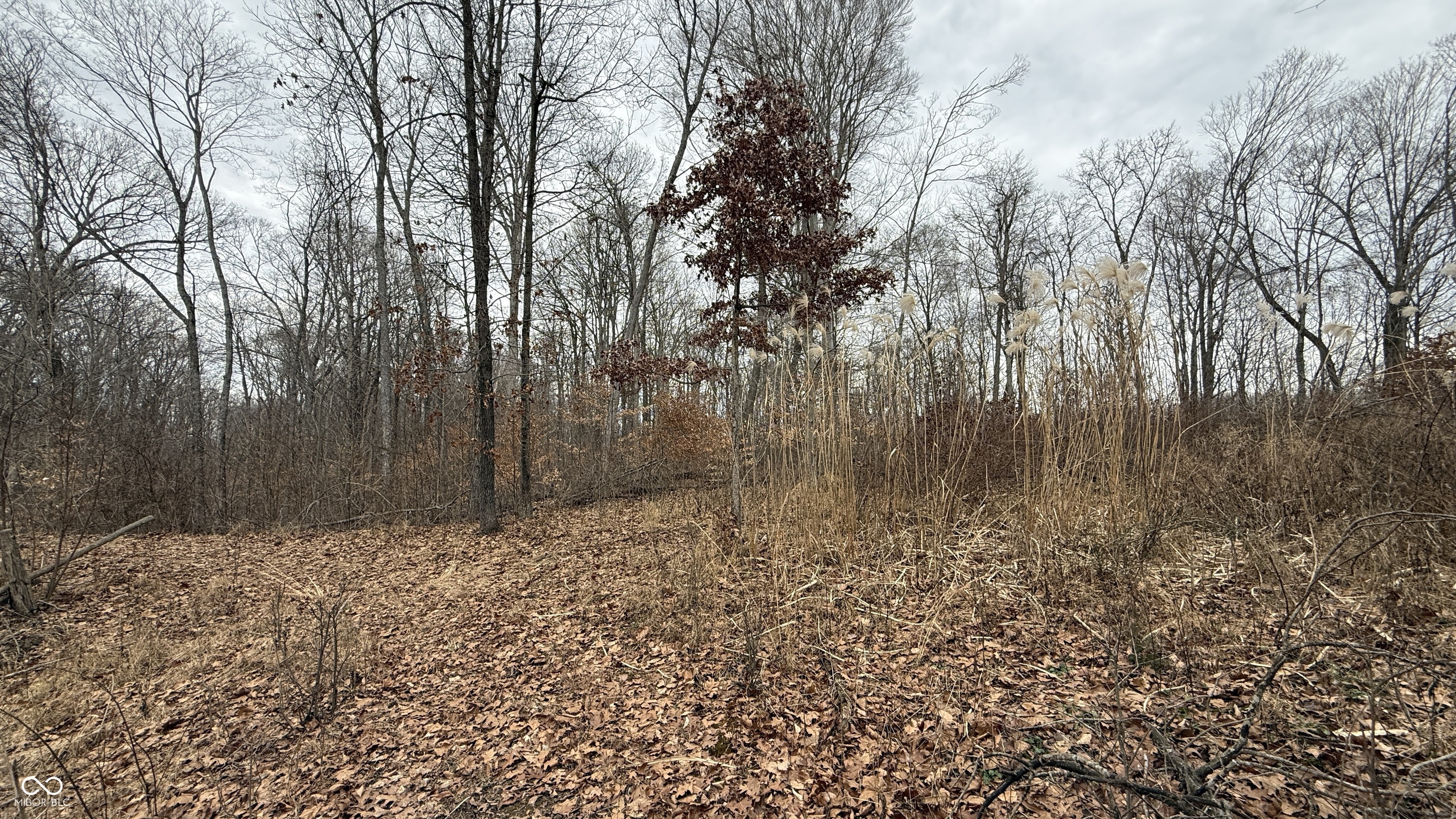 0 Steubenville Road Coal City, IN 47427 - Photo 38 of 75