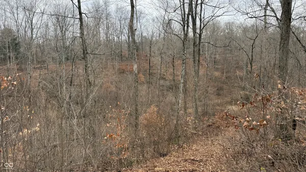 $720,032 | 0 Steubenville Road, Coal City, IN 47427