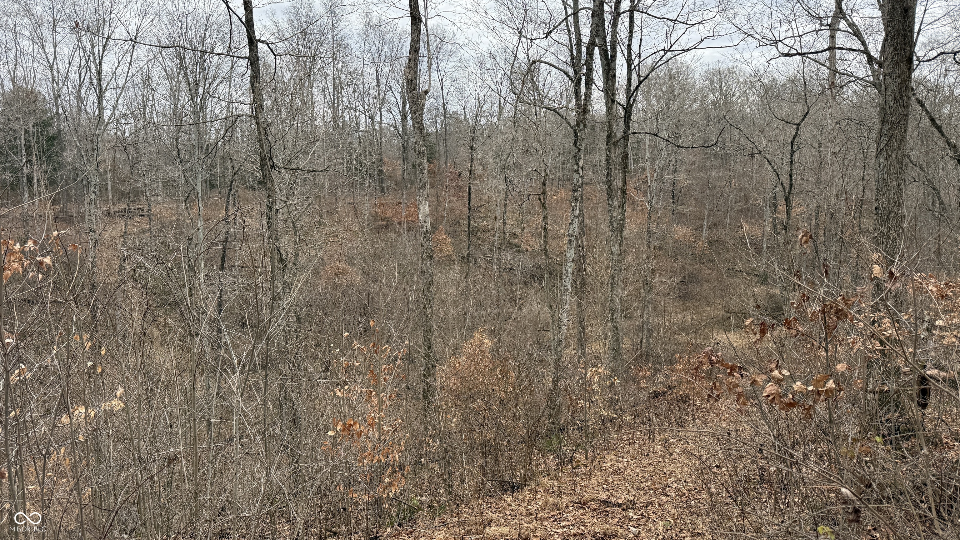 0 Steubenville Road Coal City, IN 47427 - Photo 40 of 75