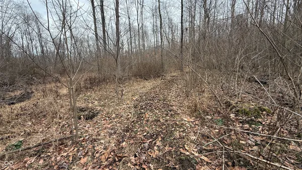 $720,032 | 0 Steubenville Road, Coal City, IN 47427