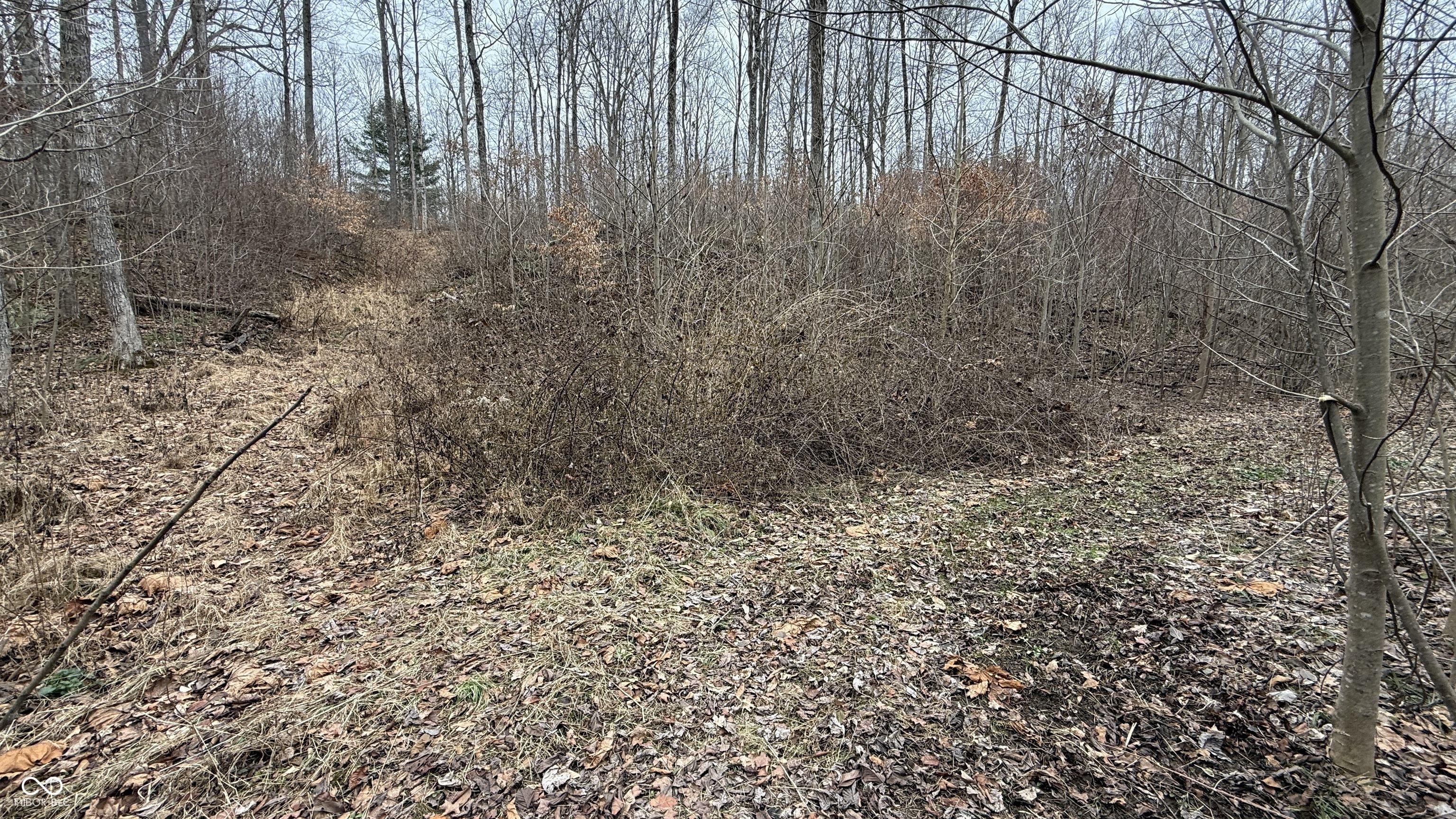 0 Steubenville Road Coal City, IN 47427 - Photo 44 of 75