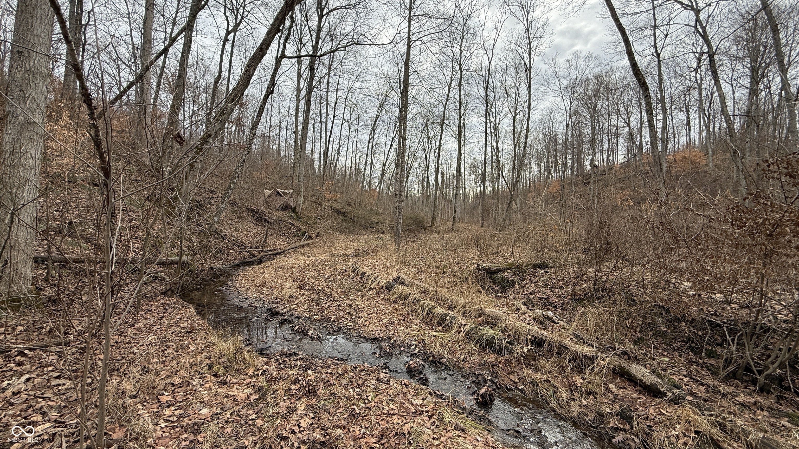 0 Steubenville Road Coal City, IN 47427 - Photo 45 of 75