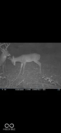 $720,032 | 0 Steubenville Road, Coal City, IN 47427