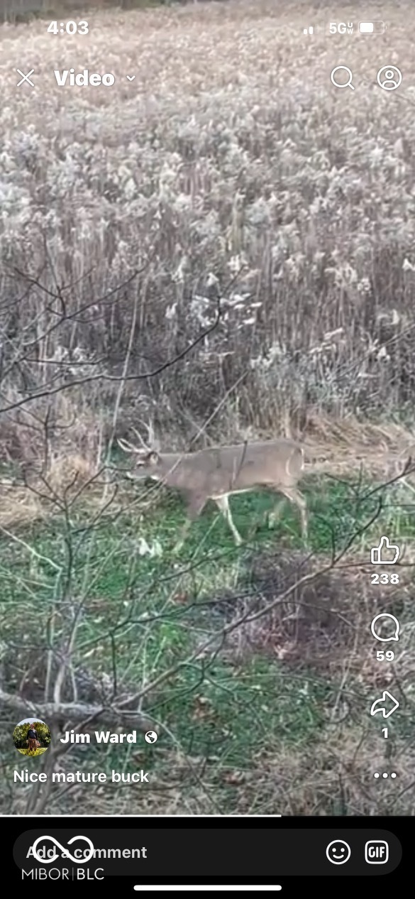 0 Steubenville Road Coal City, IN 47427 - Photo 63 of 75