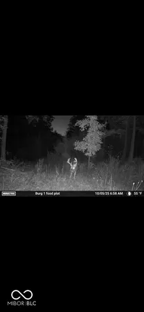 $720,032 | 0 Steubenville Road, Coal City, IN 47427