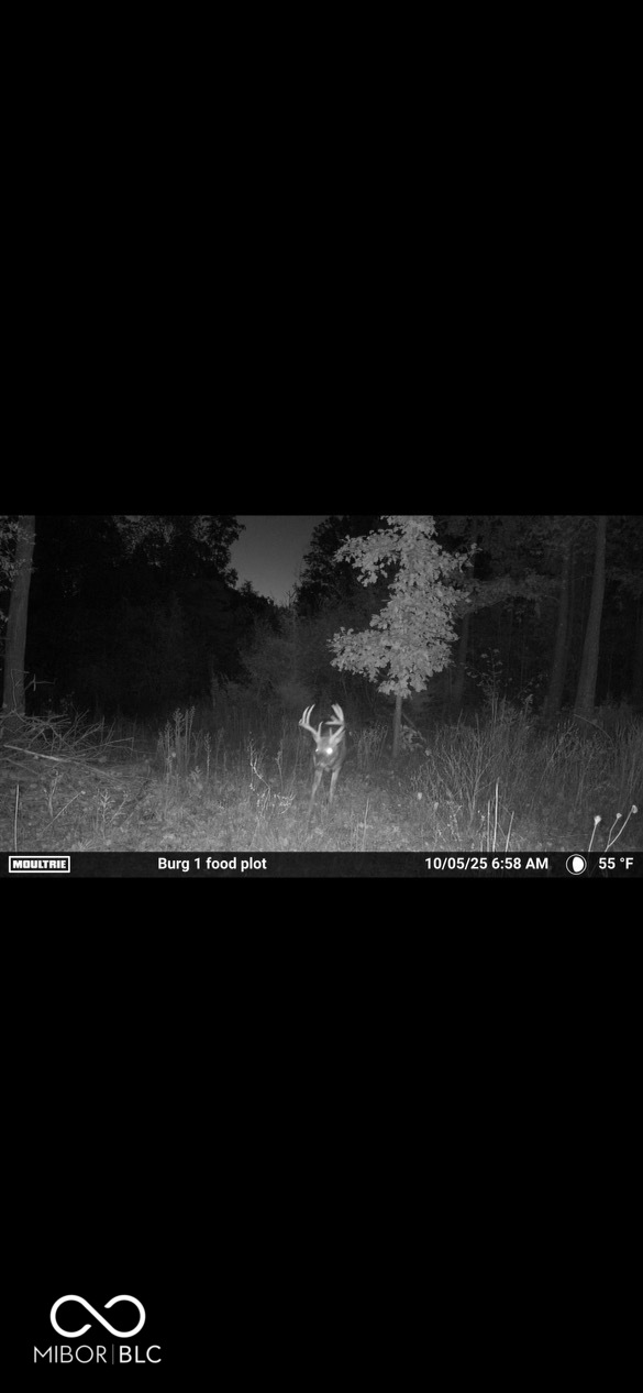 0 Steubenville Road Coal City, IN 47427 - Photo 64 of 75