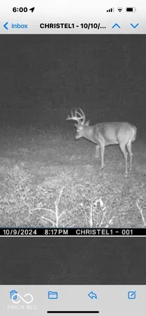 $720,032 | 0 Steubenville Road, Coal City, IN 47427