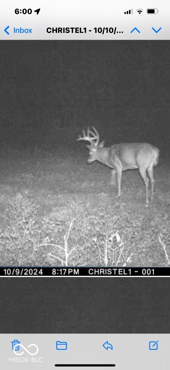 0 Steubenville Road Coal City, IN 47427 - Photo 65 of 75
