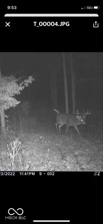 $720,032 | 0 Steubenville Road, Coal City, IN 47427