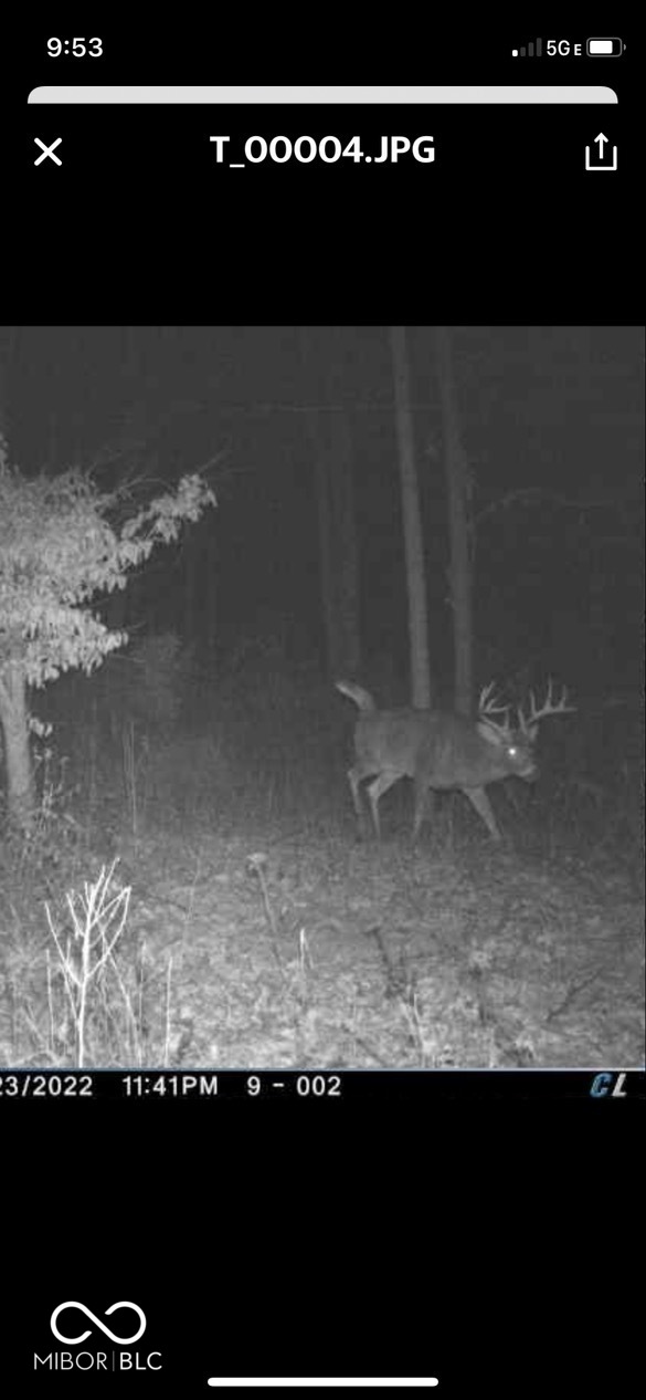 0 Steubenville Road Coal City, IN 47427 - Photo 66 of 75