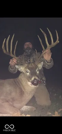 $720,032 | 0 Steubenville Road, Coal City, IN 47427