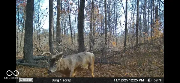 $720,032 | 0 Steubenville Road, Coal City, IN 47427