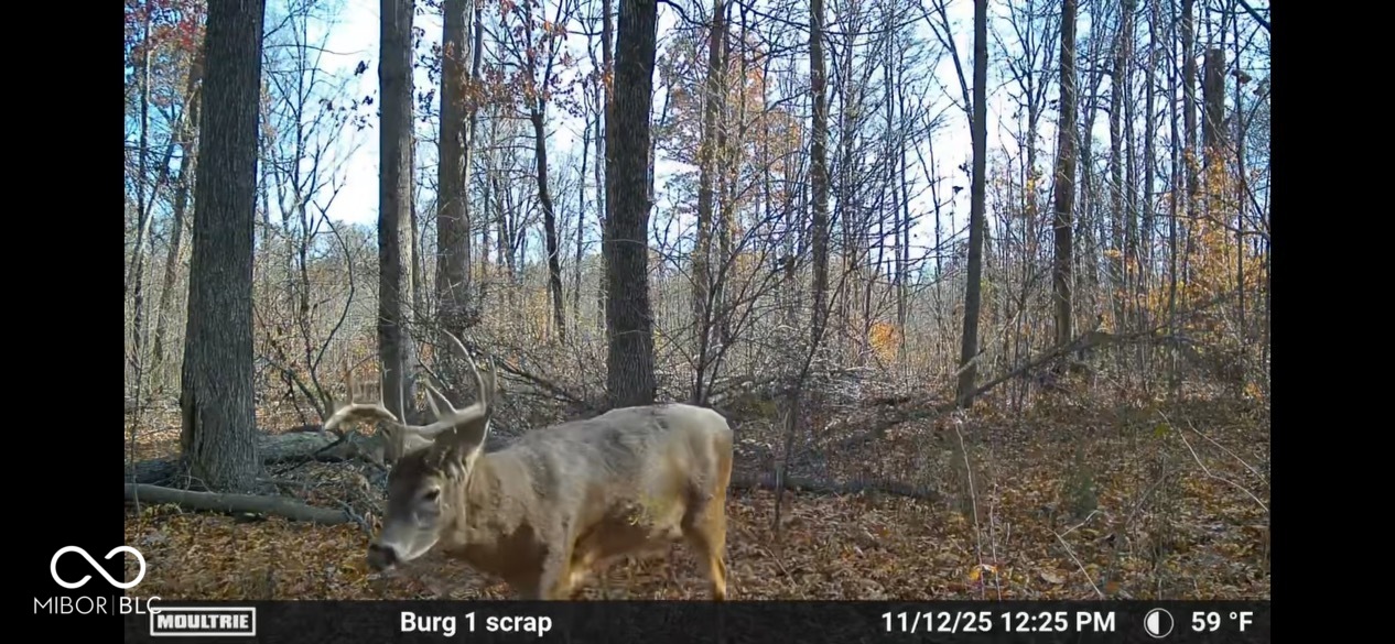 0 Steubenville Road Coal City, IN 47427 - Photo 68 of 75