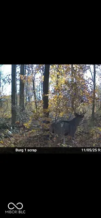 $720,032 | 0 Steubenville Road, Coal City, IN 47427