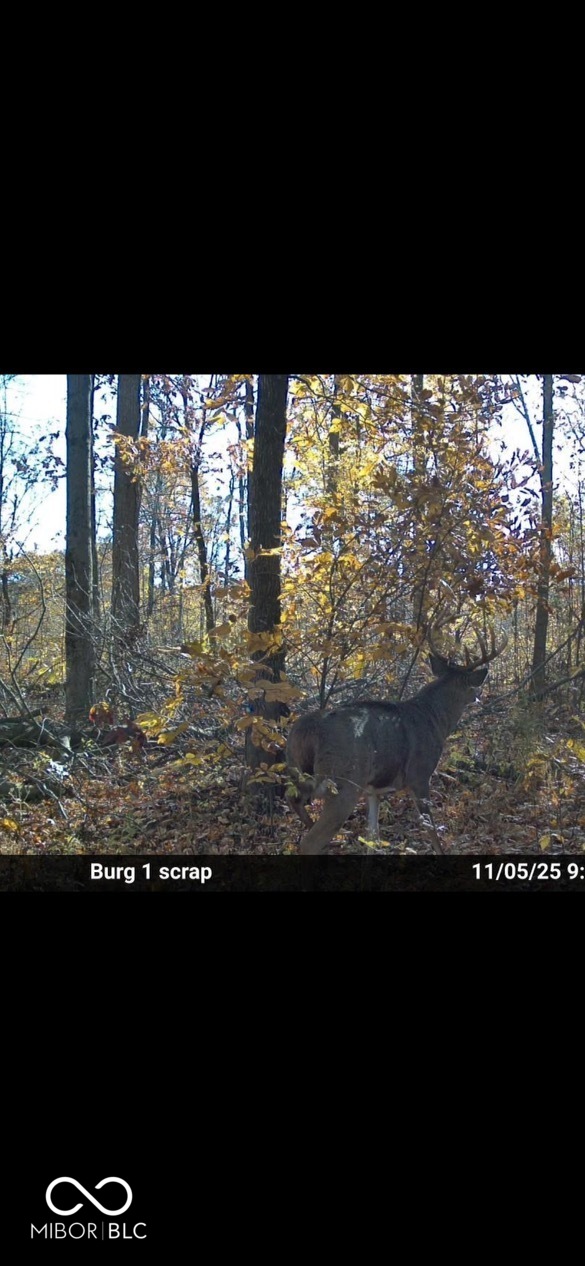0 Steubenville Road Coal City, IN 47427 - Photo 69 of 75