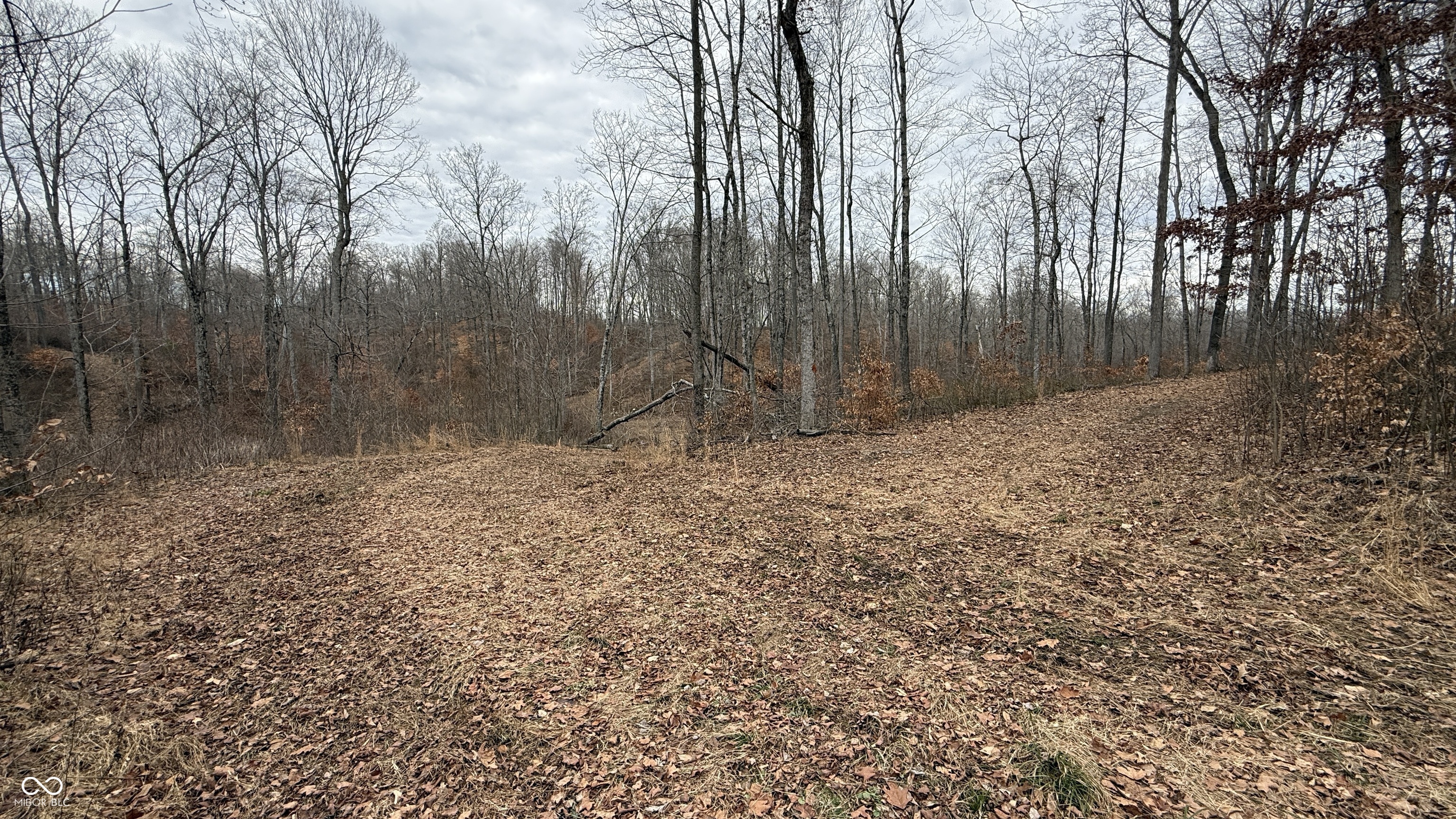 0 Steubenville Road Coal City, IN 47427 - Photo 7 of 75