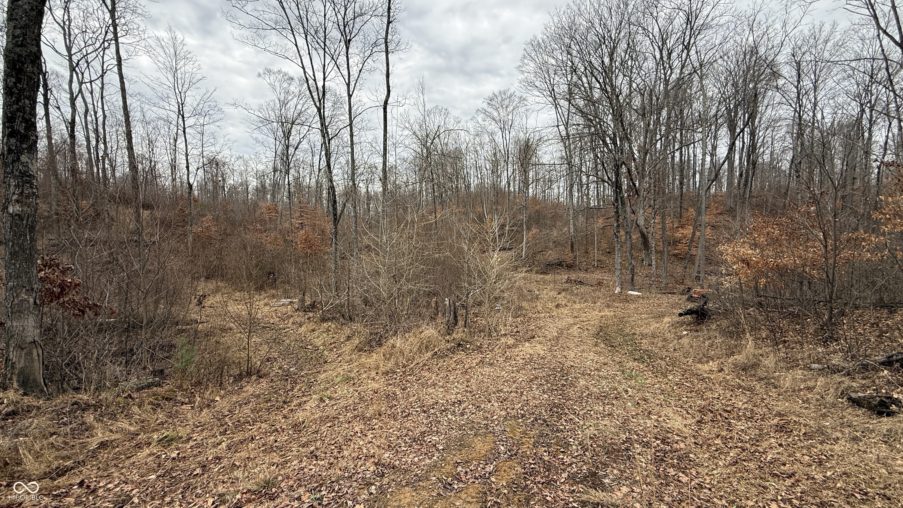 0 Steubenville Road Coal City, IN 47427 - Photo 8 of 75