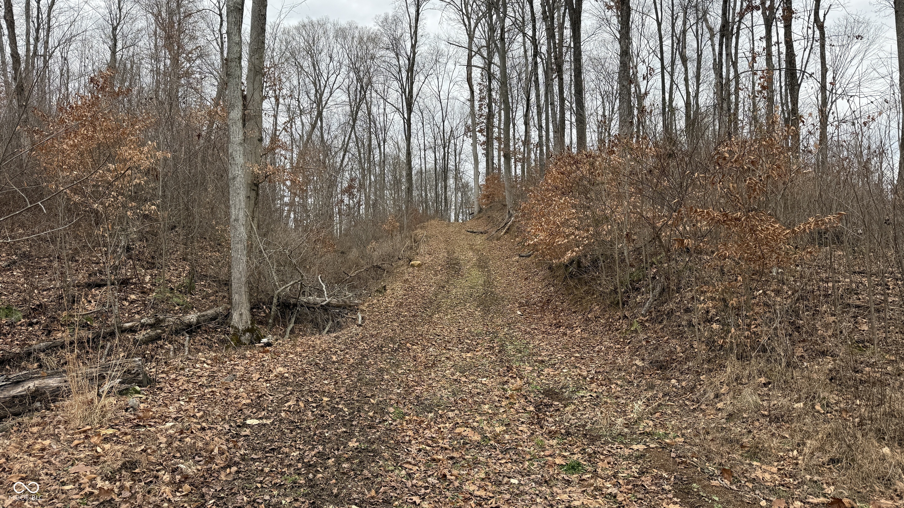 0 Steubenville Road Coal City, IN 47427 - Photo 10 of 75