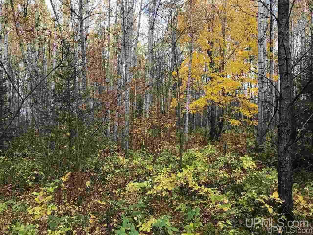 Tbd Co Rd 426 Cornell, MI 49818 - Photo 18 of 20