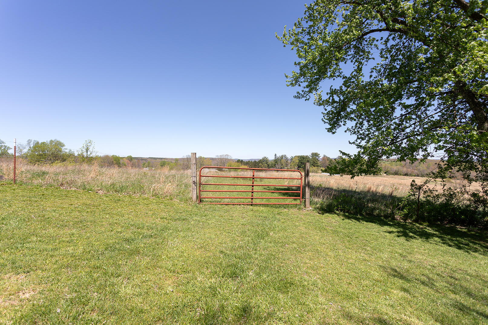 175 Twitty Road Dunlap, TN 37327 - Photo 35 of 62 4M4A9758