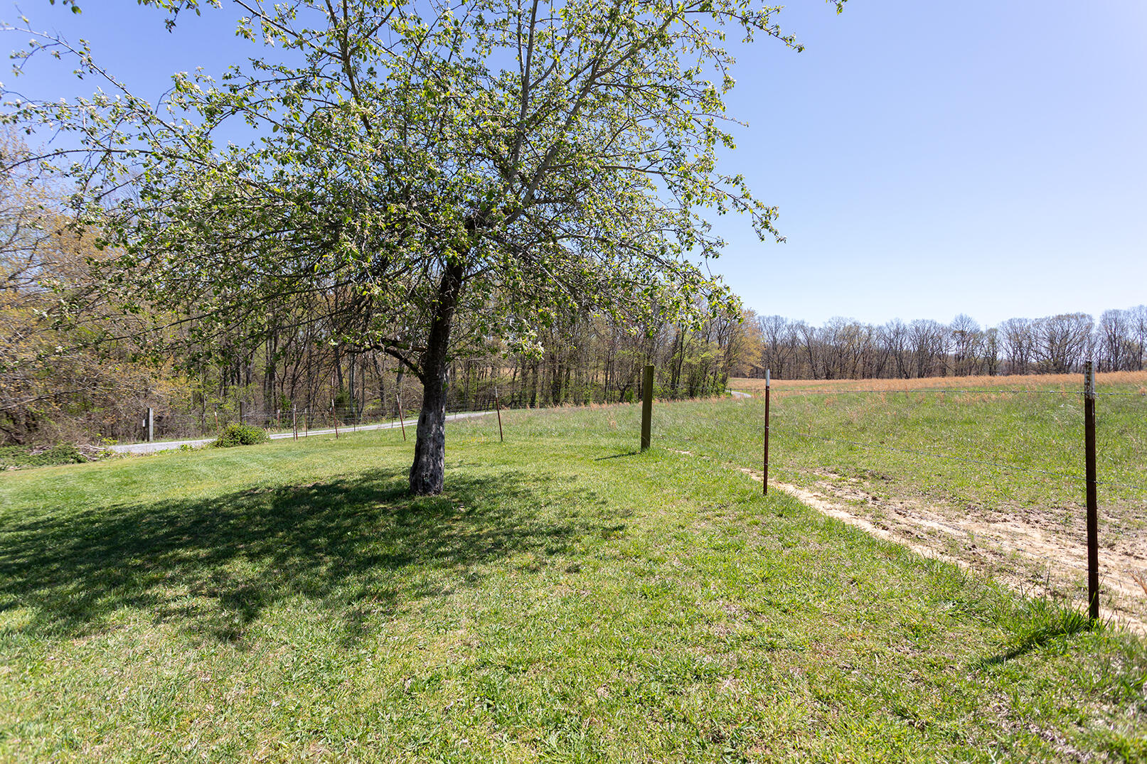 175 Twitty Road Dunlap, TN 37327 - Photo 37 of 62 4M4A9772
