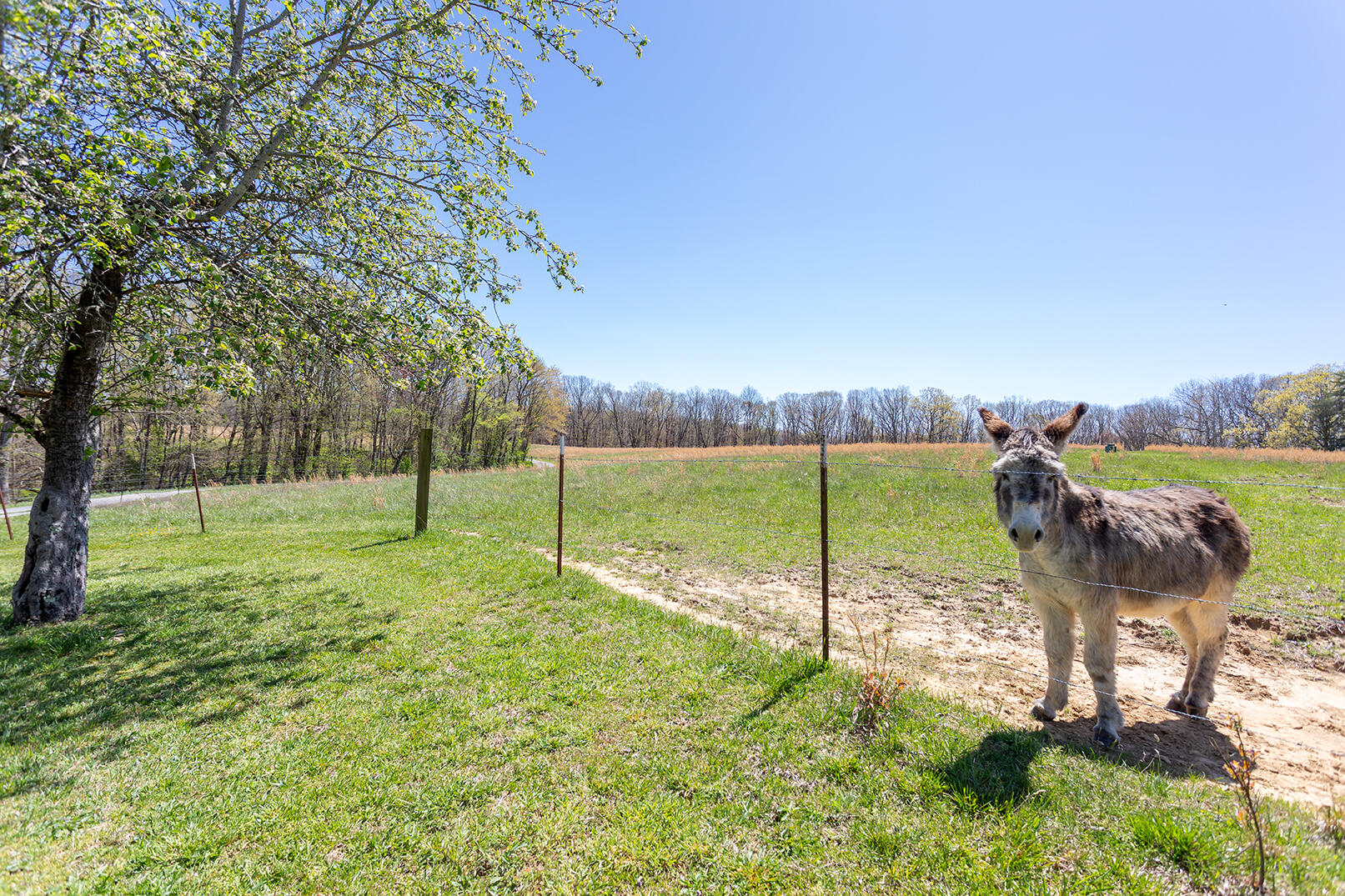 175 Twitty Road Dunlap, TN 37327 - Photo 38 of 62 4M4A9774