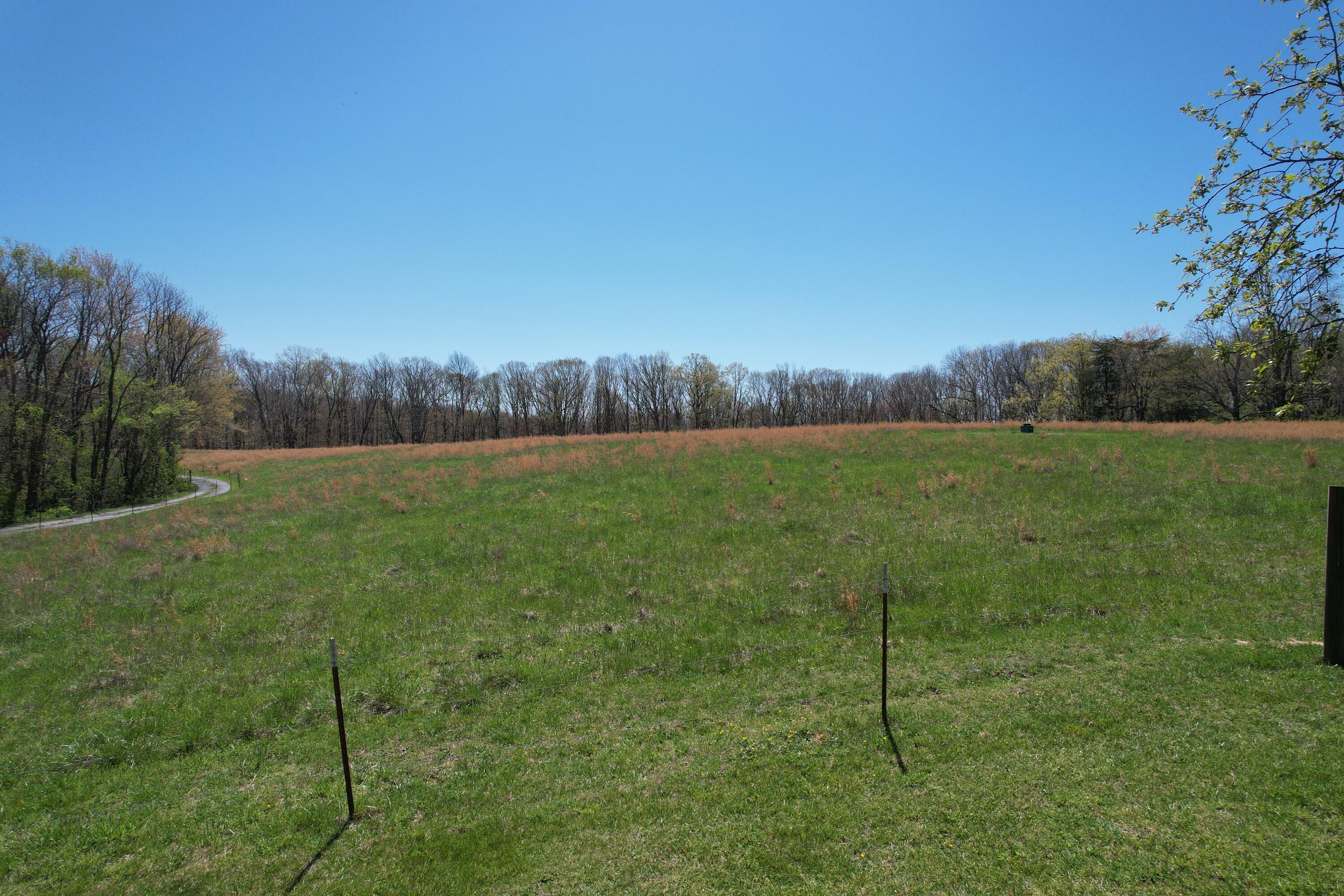 175 Twitty Road Dunlap, TN 37327 - Photo 4 of 62 Front pasture