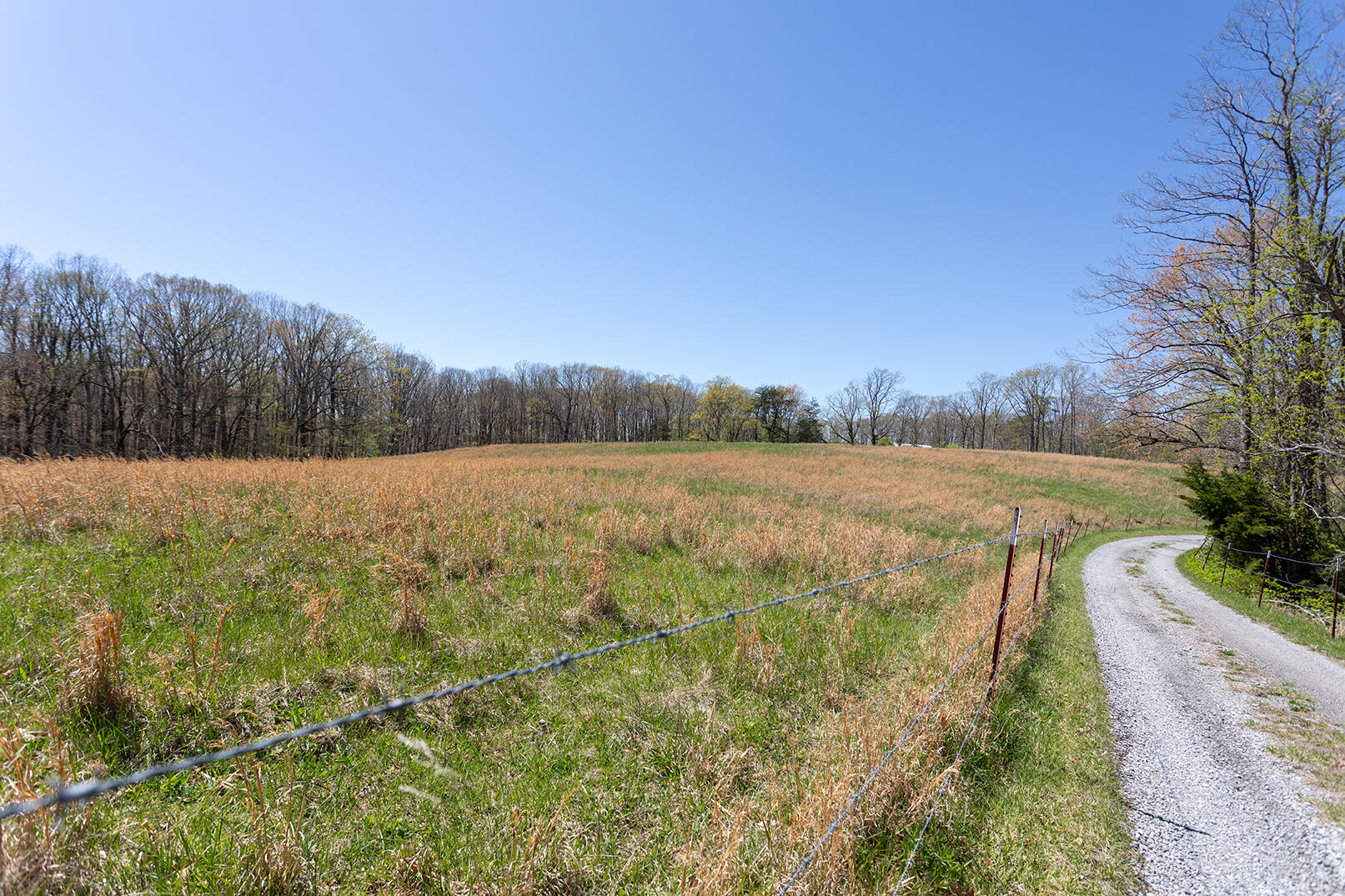 175 Twitty Road Dunlap, TN 37327 - Photo 42 of 62 Front pasture