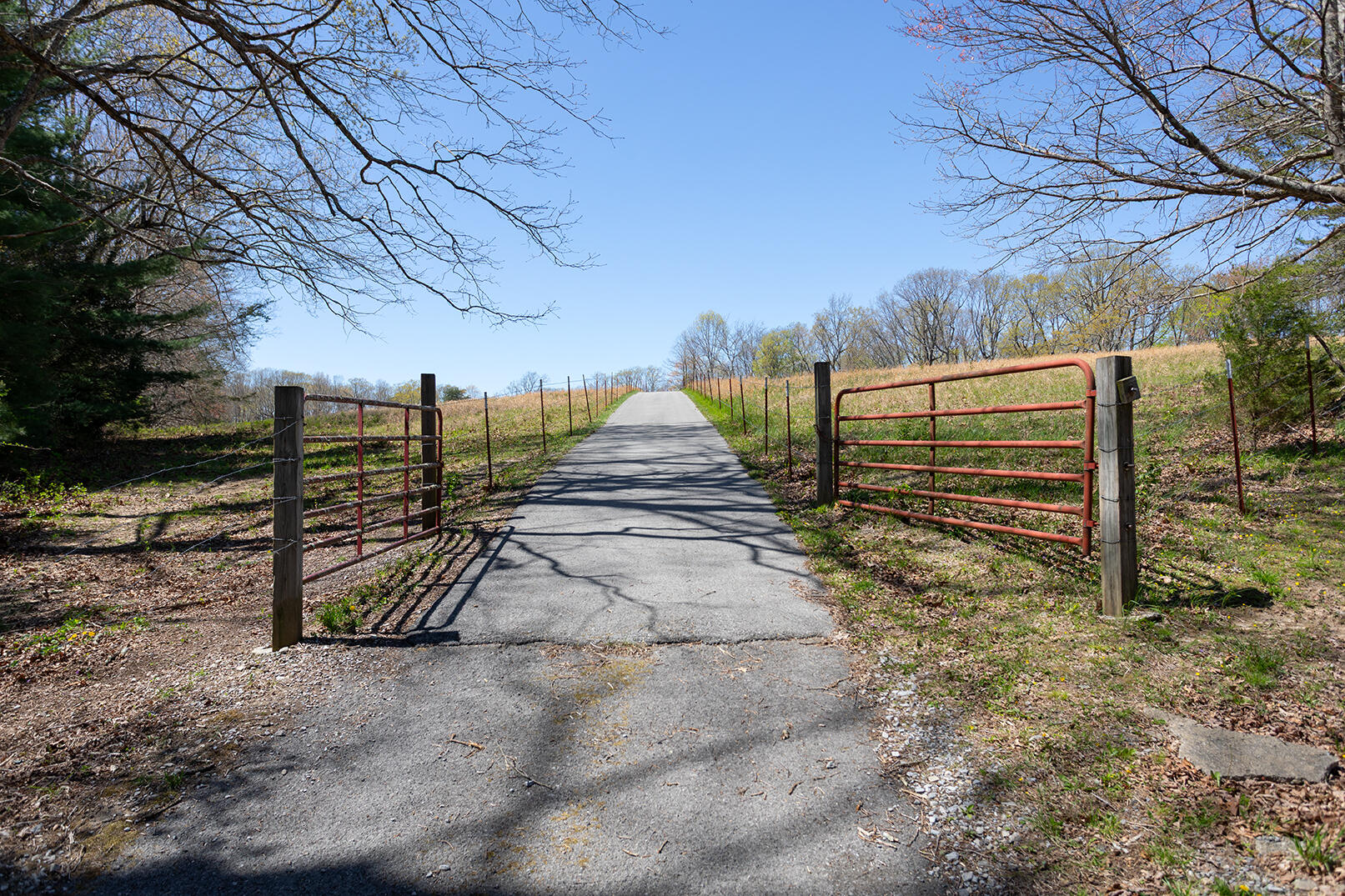 175 Twitty Road Dunlap, TN 37327 - Photo 43 of 62 Entrance