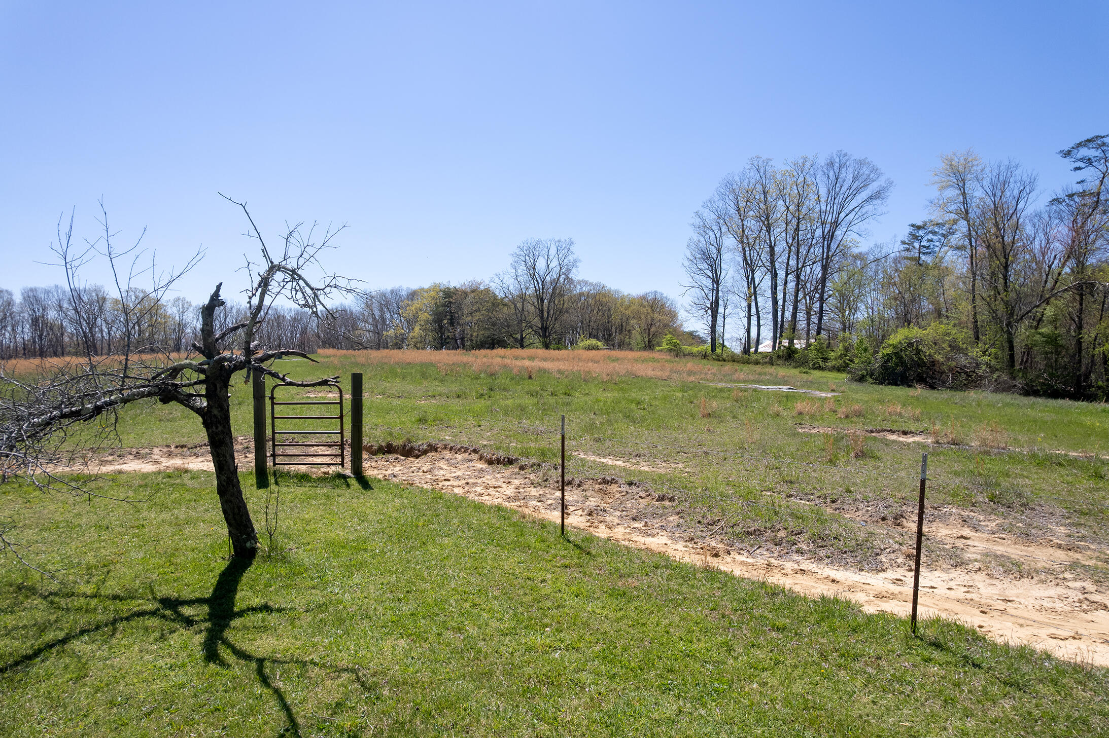 175 Twitty Road Dunlap, TN 37327 - Photo 47 of 62 DJI_0703