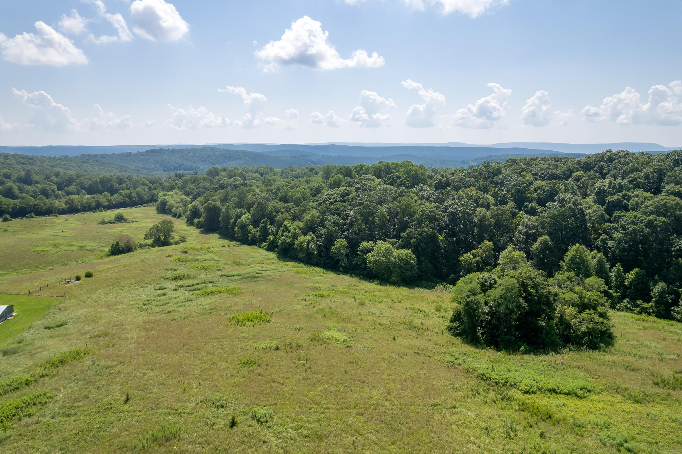175 Twitty Road Dunlap, TN 37327 - Photo 56 of 62 Back pasture