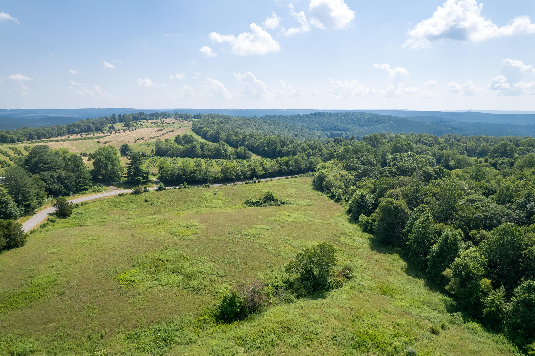 175 Twitty Road Dunlap, TN 37327 - Photo 57 of 62 Back pasture