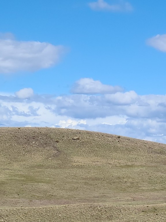 0 Cahokia Road Hartsel, CO 80449 - Photo 4 of 6