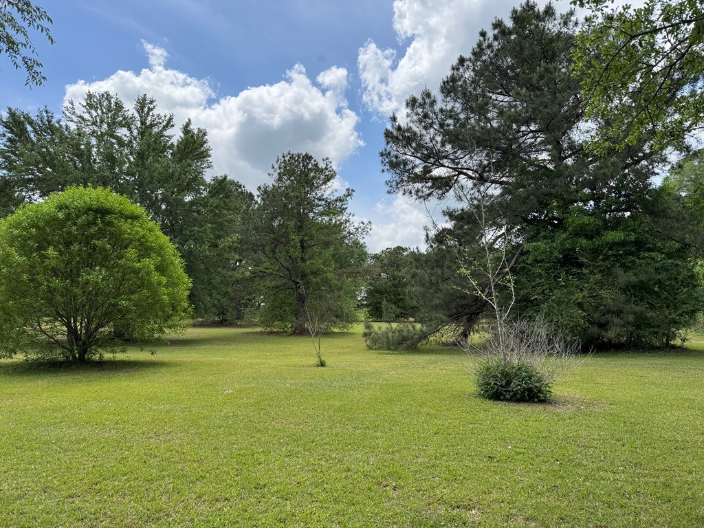 821 Harden Road Slocomb, AL 36375 - Photo 65 of 68
