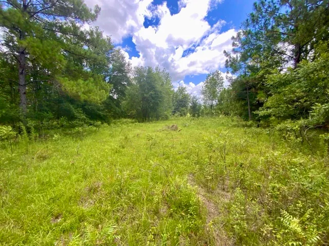 $335,000 | 0 Northeast Dandelion Street, Madison, FL 32340