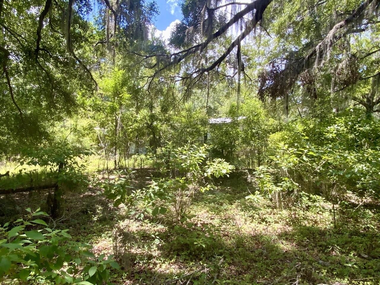 0 Northeast Dandelion Street Madison, FL 32340 - Photo 20 of 42