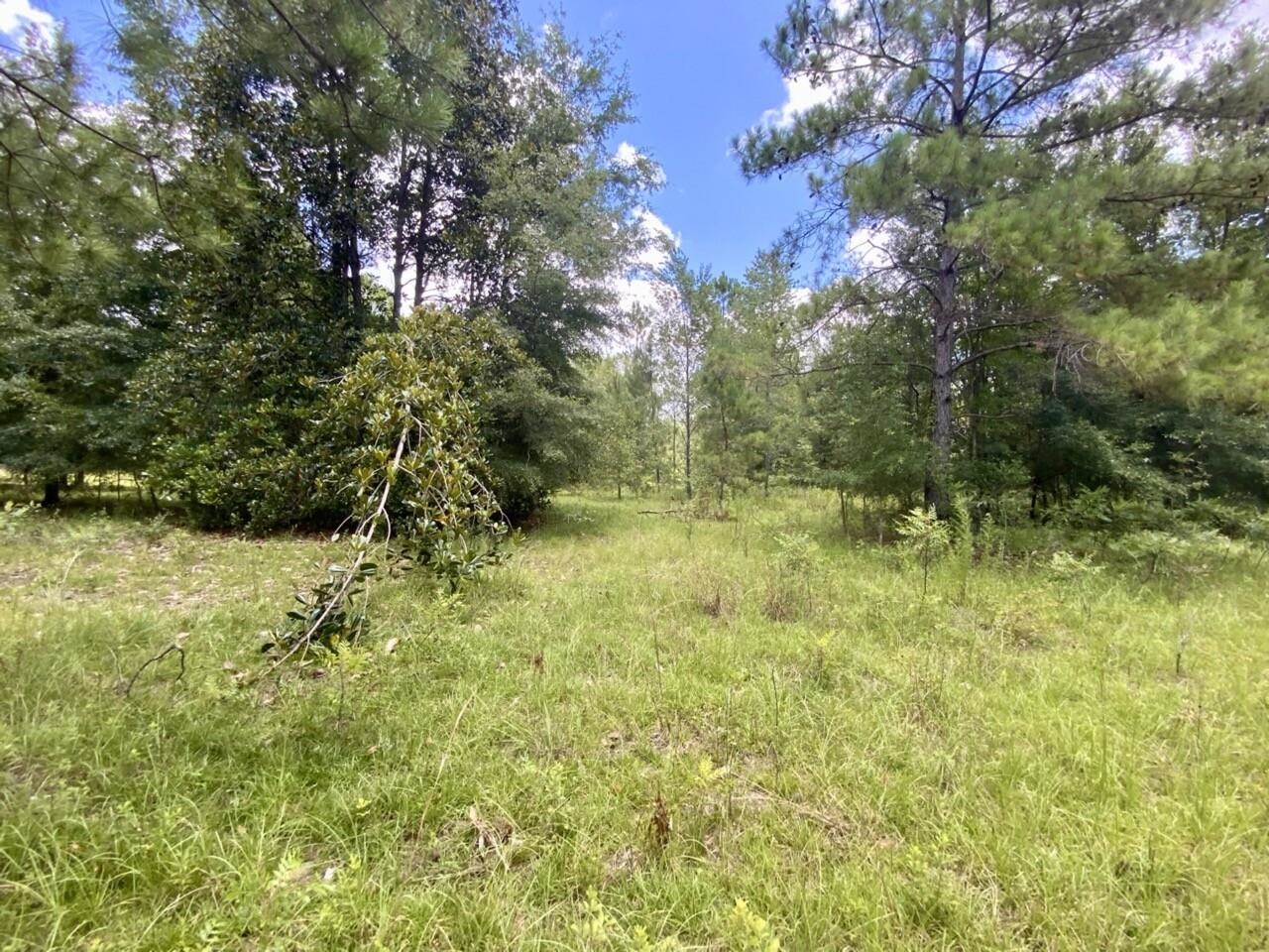 0 Northeast Dandelion Street Madison, FL 32340 - Photo 2 of 42