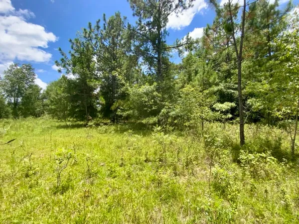 $335,000 | 0 Northeast Dandelion Street, Madison, FL 32340
