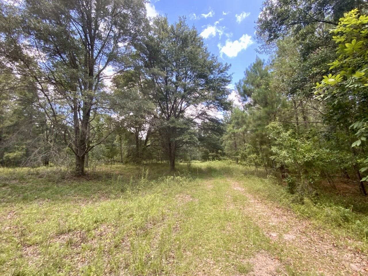 0 Northeast Dandelion Street Madison, FL 32340 - Photo 35 of 42