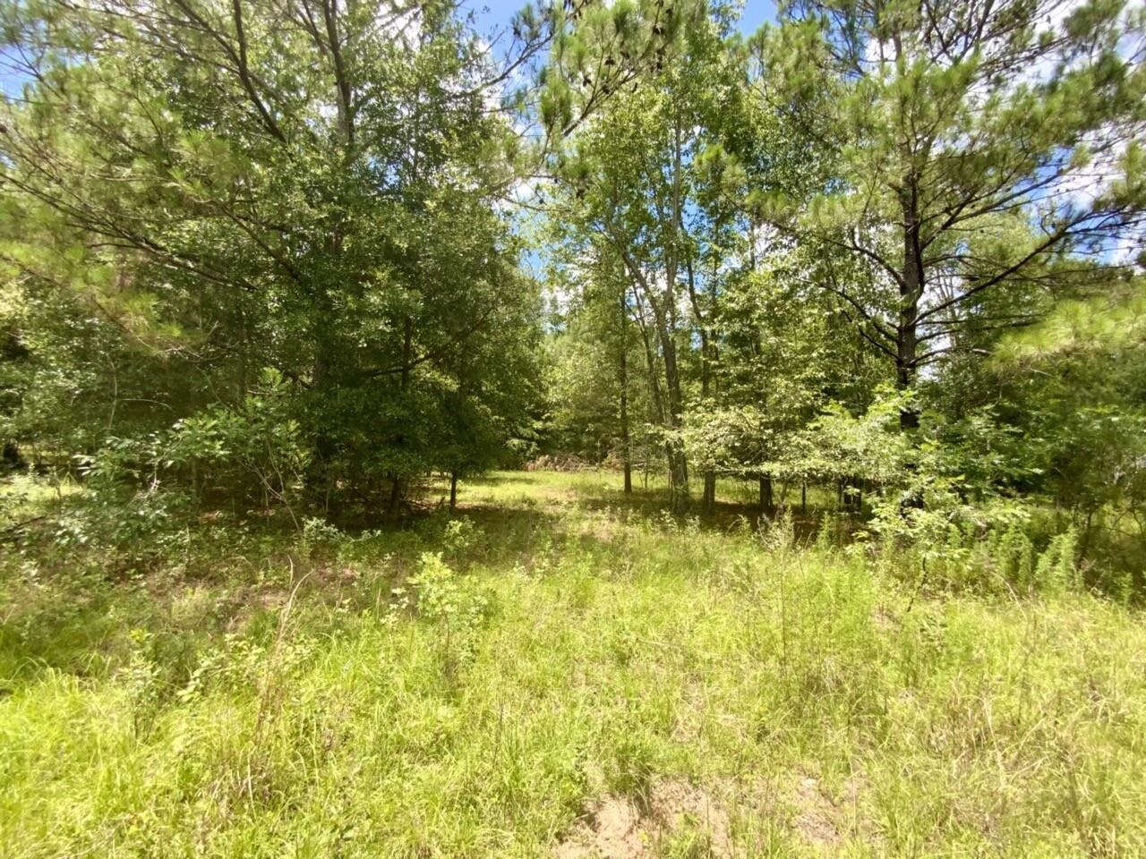 0 Northeast Dandelion Street Madison, FL 32340 - Photo 8 of 42