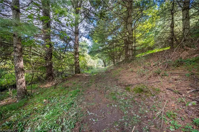 $179,900 | 0 Cox Store Road Southwest, Floyd, VA 24091